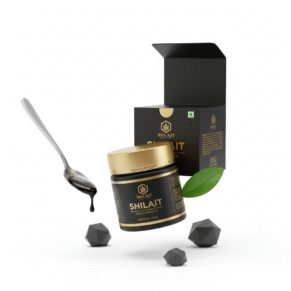 Himalayan Vitalizer Shilajit Resin 20g